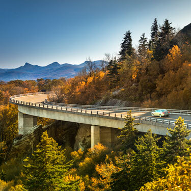 Freight Shipping from Virginia to Florida - Bridge by trees with foliage