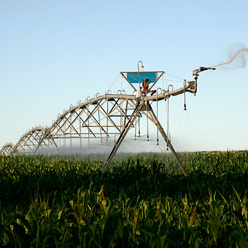 Shipping Freight from North Dakota - Corn