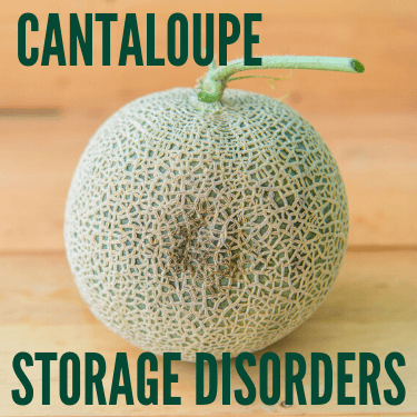 Cantaloupe Storage Disorders