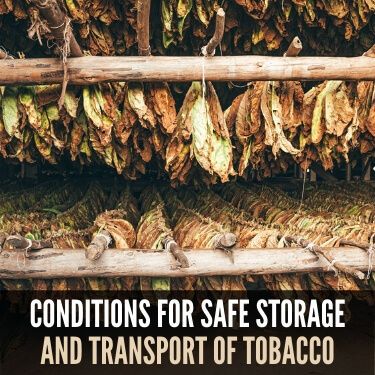 Conditions for Safe Storage and Transport of Tobacco