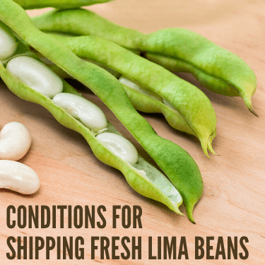 Conditions for Shipping Fresh Lima Beans