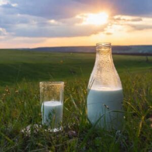 Shipping Freight from Vermont - Dairy Products in Vermont Field