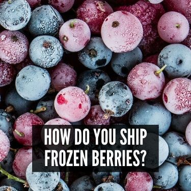 How Do You Ship Frozen Berries