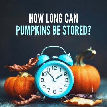 How Long Can Pumpkins Be Stored