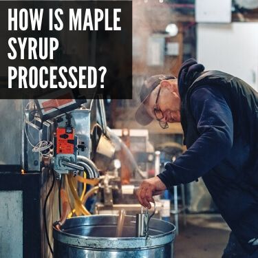 How is Maple Syrup Processed