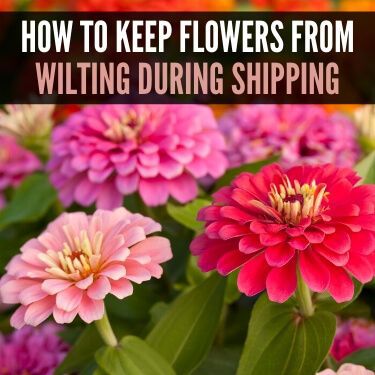 How to Keep Flowers from Wilting during Shipping