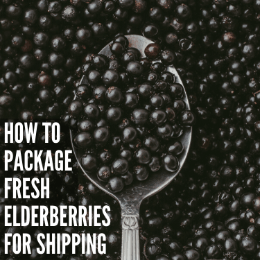 How to Package Fresh Elderberries for Shipping