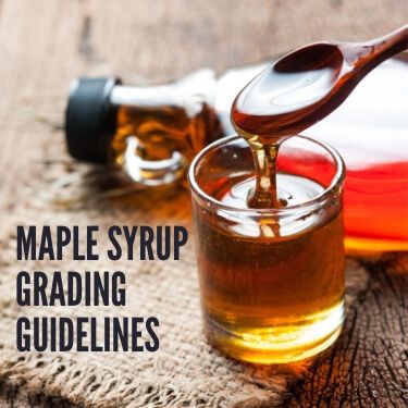 Maple Syrup Grading Guidelines