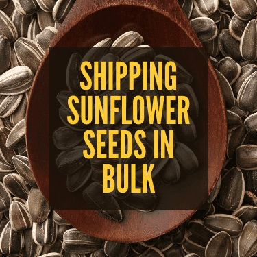 Shipping Sunflower Seeds in Bulk