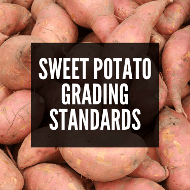 Sweet Potato Grading Standards