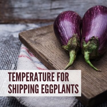 Temperature for Shipping Eggplants