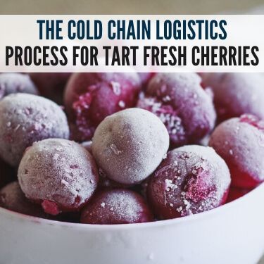 The Cold Chain Logistics Process for Tart Fresh Cherries