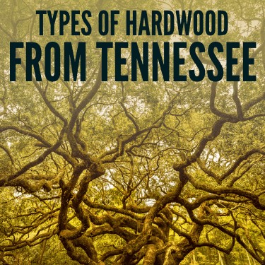 Types of Hardwood from Tennessee