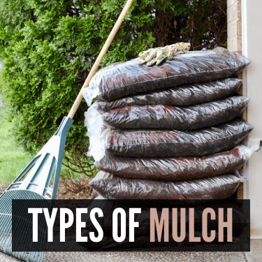 Types of Mulch