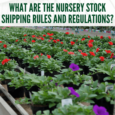 What-Are-The-Nursery-Stock-Shipping-Rules-and-Regulations