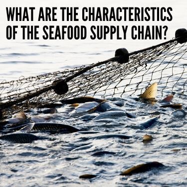 What are the Characteristics of the Seafood Supply Chain