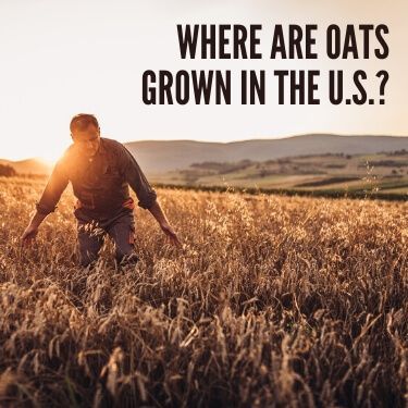 Where are Oats Grown in the U.S.