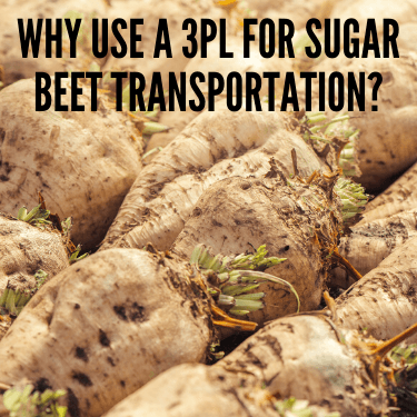 Why Use a 3PL for Sugar Beet Transportation