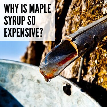 Why is Maple Syrup so Expensive