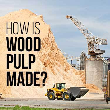 how-is-wood-pulp-made