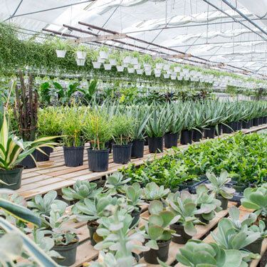 GREENHOUSE & NURSERY PRODUCTS