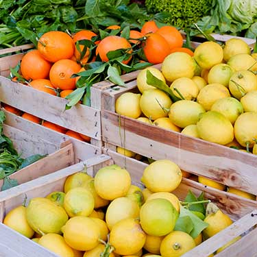 Produce & Food - Lemons and Oranges in crates