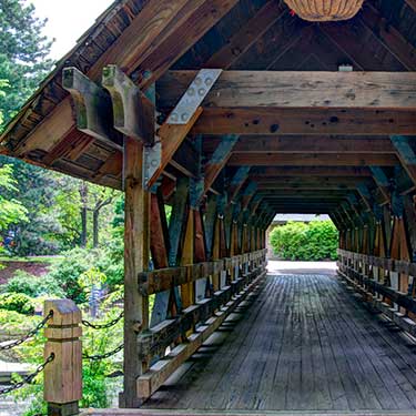 Freight Shipping from Illinois - Nature trail in Illinois