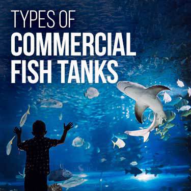 types-of-commercial-fish-tanks