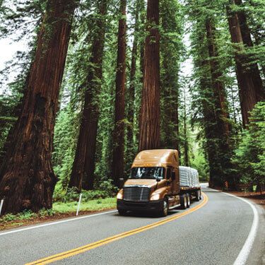 semi-truck flatbed with cargo driving through forest road