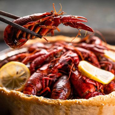 crawdads-crawfish