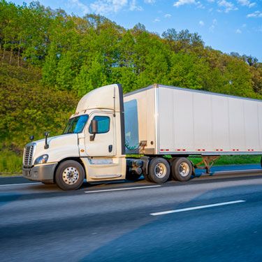 Freight Shipping from Georgia to Florida - Side view of white truck on road by trees